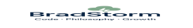 BradStorm Logo